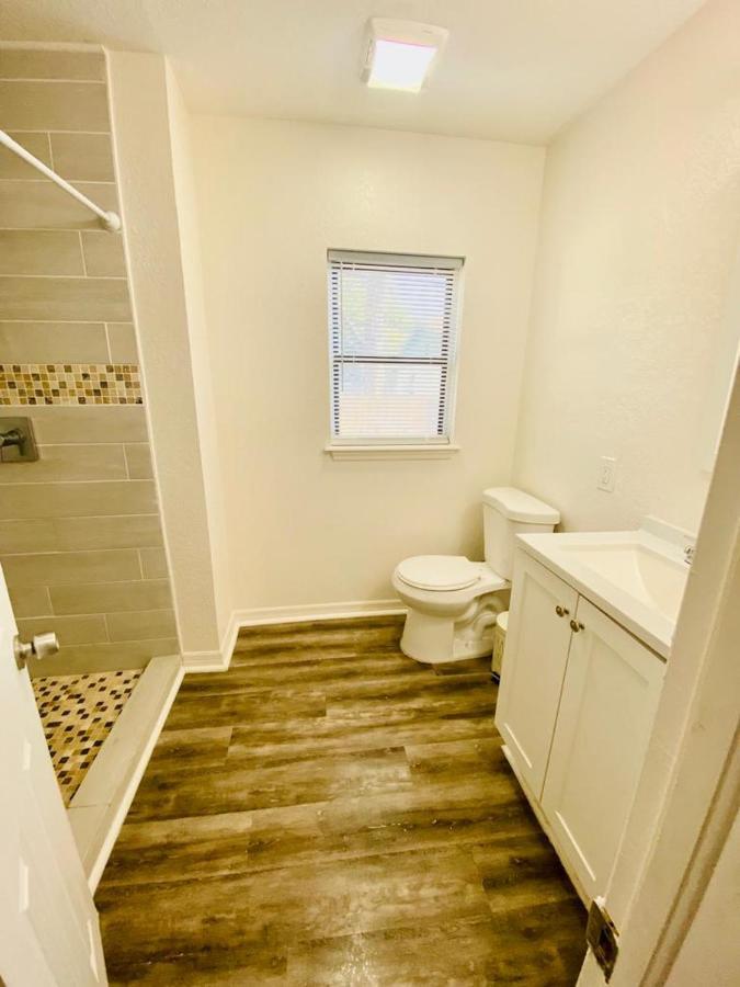 Two Fully Equipped Apartments And A Studio 5 Miles From The Beach St. Petersburg Ngoại thất bức ảnh