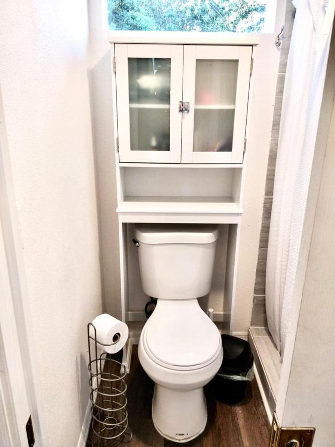 Two Fully Equipped Apartments And A Studio 5 Miles From The Beach St. Petersburg Ngoại thất bức ảnh