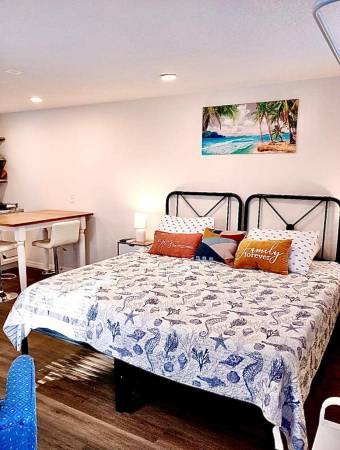 Two Fully Equipped Apartments And A Studio 5 Miles From The Beach St. Petersburg Ngoại thất bức ảnh
