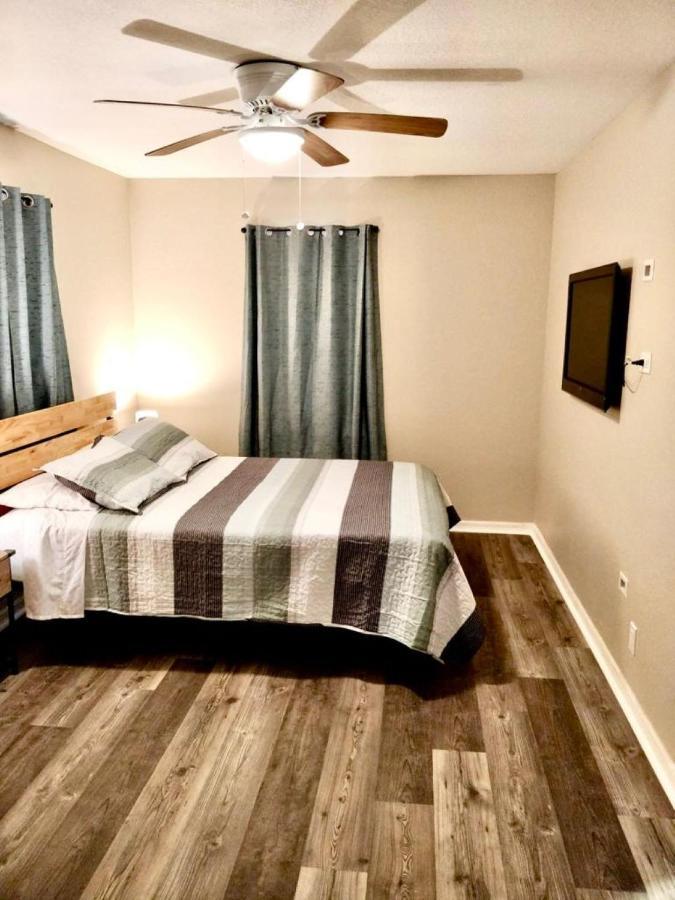 Two Fully Equipped Apartments And A Studio 5 Miles From The Beach St. Petersburg Ngoại thất bức ảnh